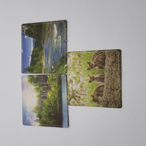 Ten Interchangeable Cardboard Coasters With Three Metal Holders Birds Nature - Picture 5 of 6